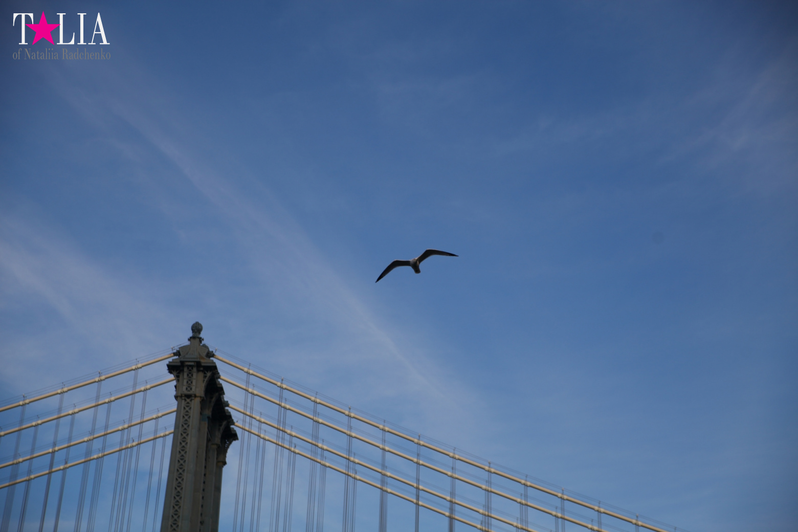 Manhattan Bridge in New York, USA